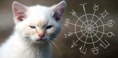 Ζώδια: Τα 3 χειρότερα στοιχεία